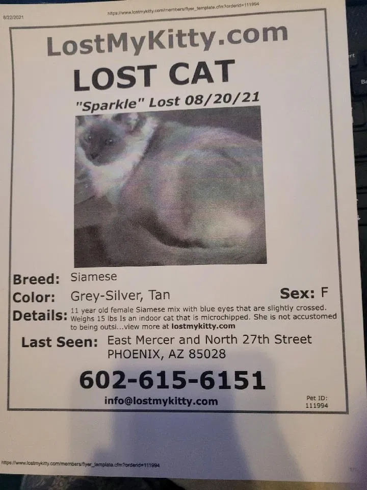 Lost cat in Phoenix, AZ, 85028