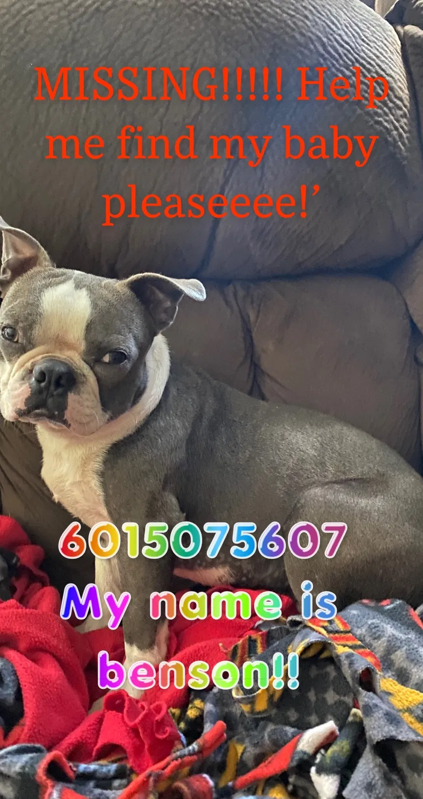 Lost dog in Braxton, MS, 39044