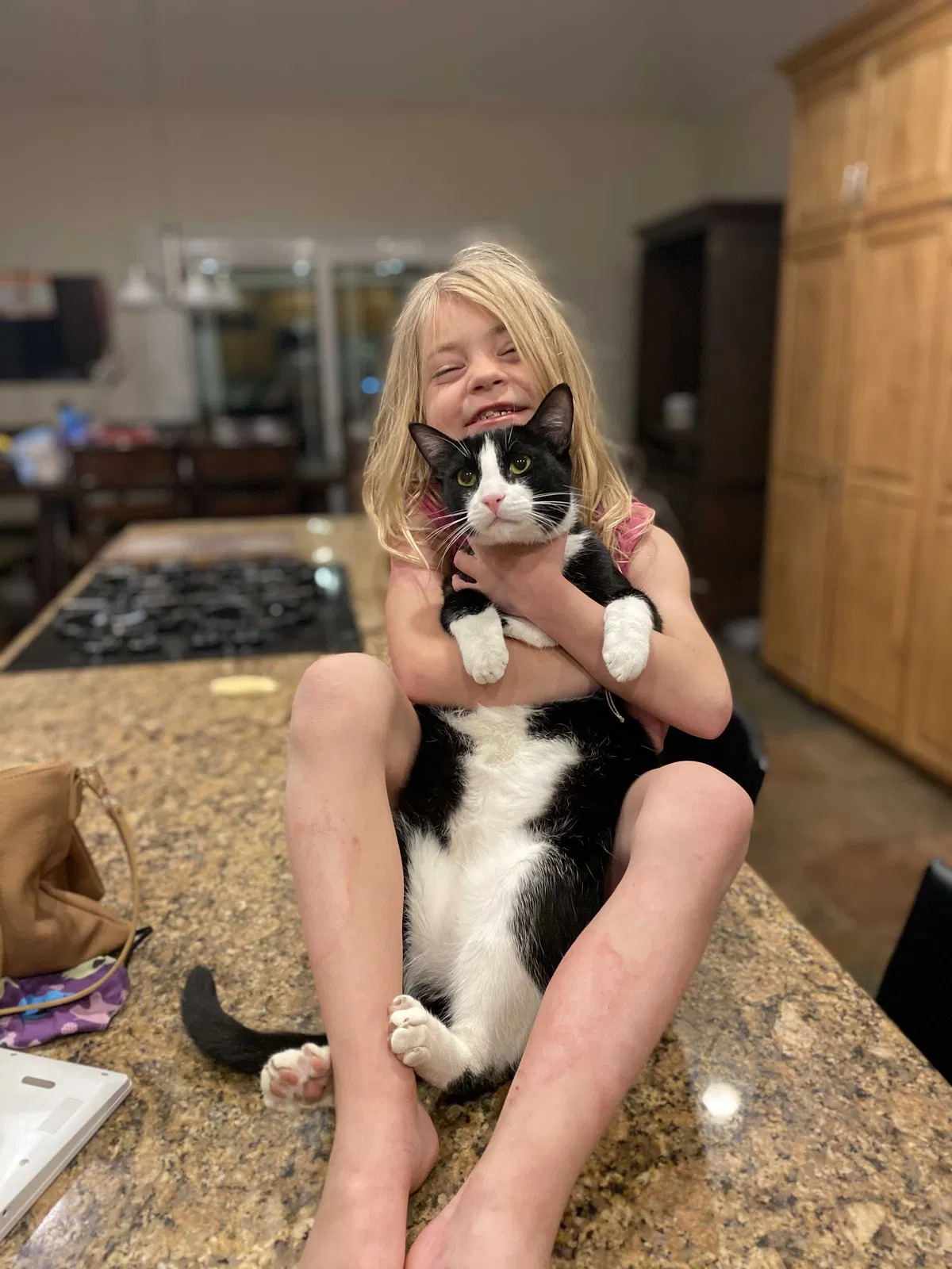 Lost cat in Bountiful, UT, 84010