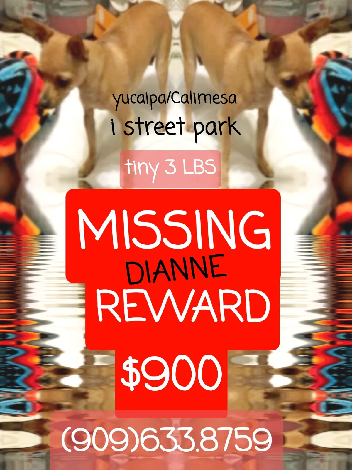 Lost dog in Yucaipa, CA, 92399