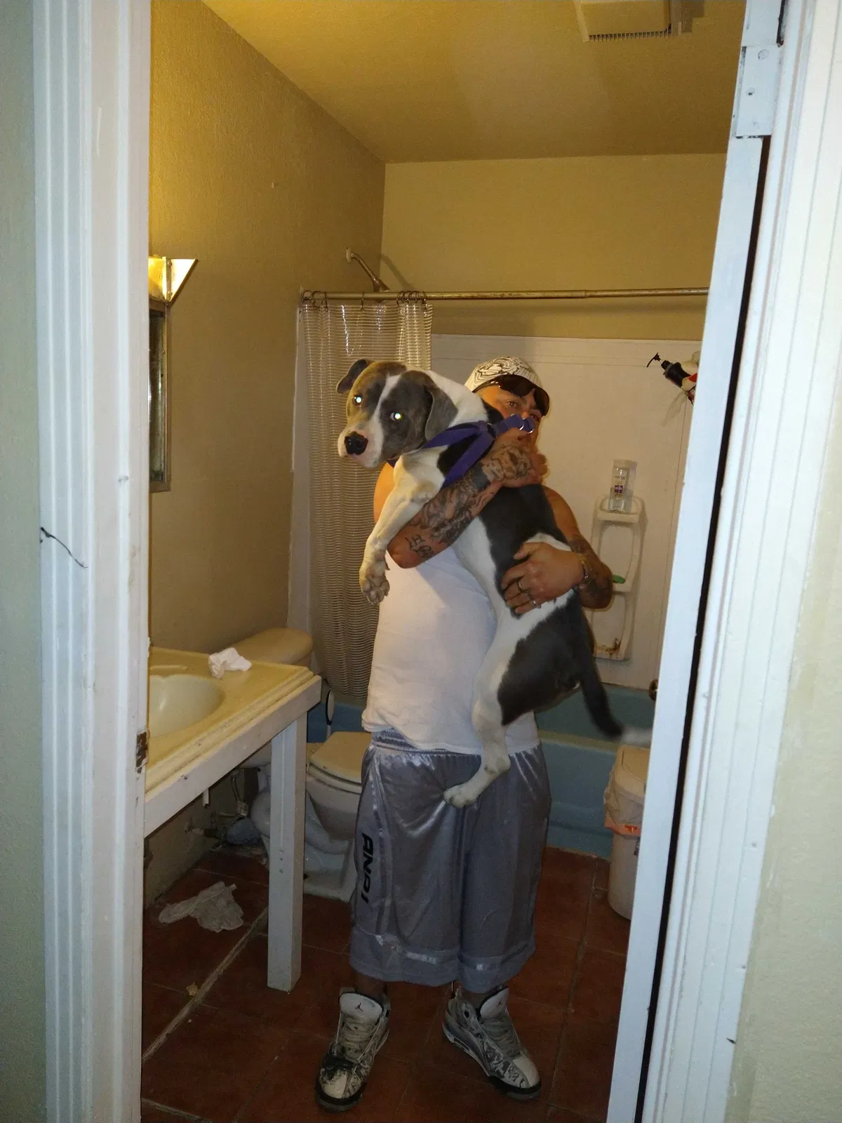 Lost dog in Corpus Christi, TX, 78416