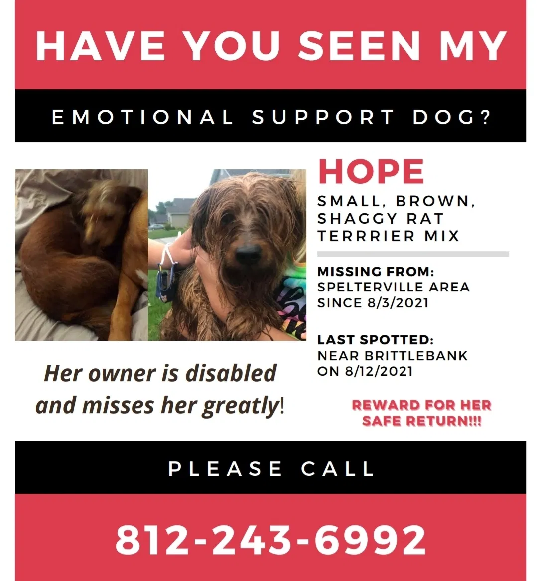 Lost dog in Terre Haute, IN, 47805