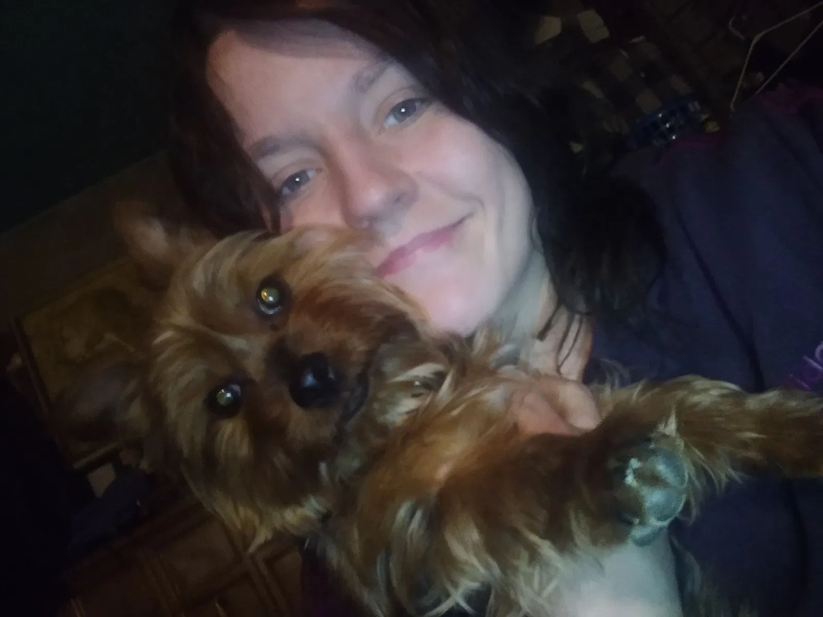 Lost dog in Columbus, OH, 43207