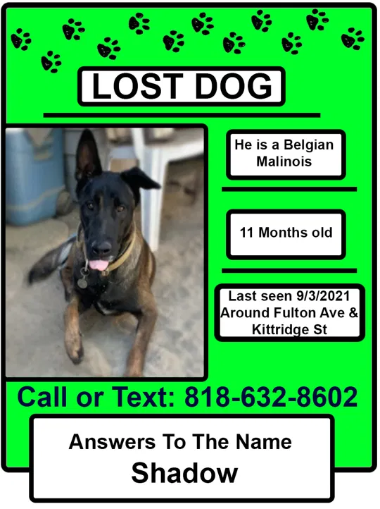 Lost dog in Van Nuys, CA, 91401