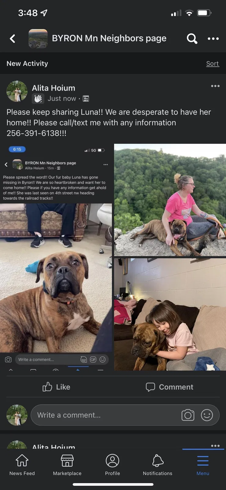 Lost dog in Byron, MN, 55920