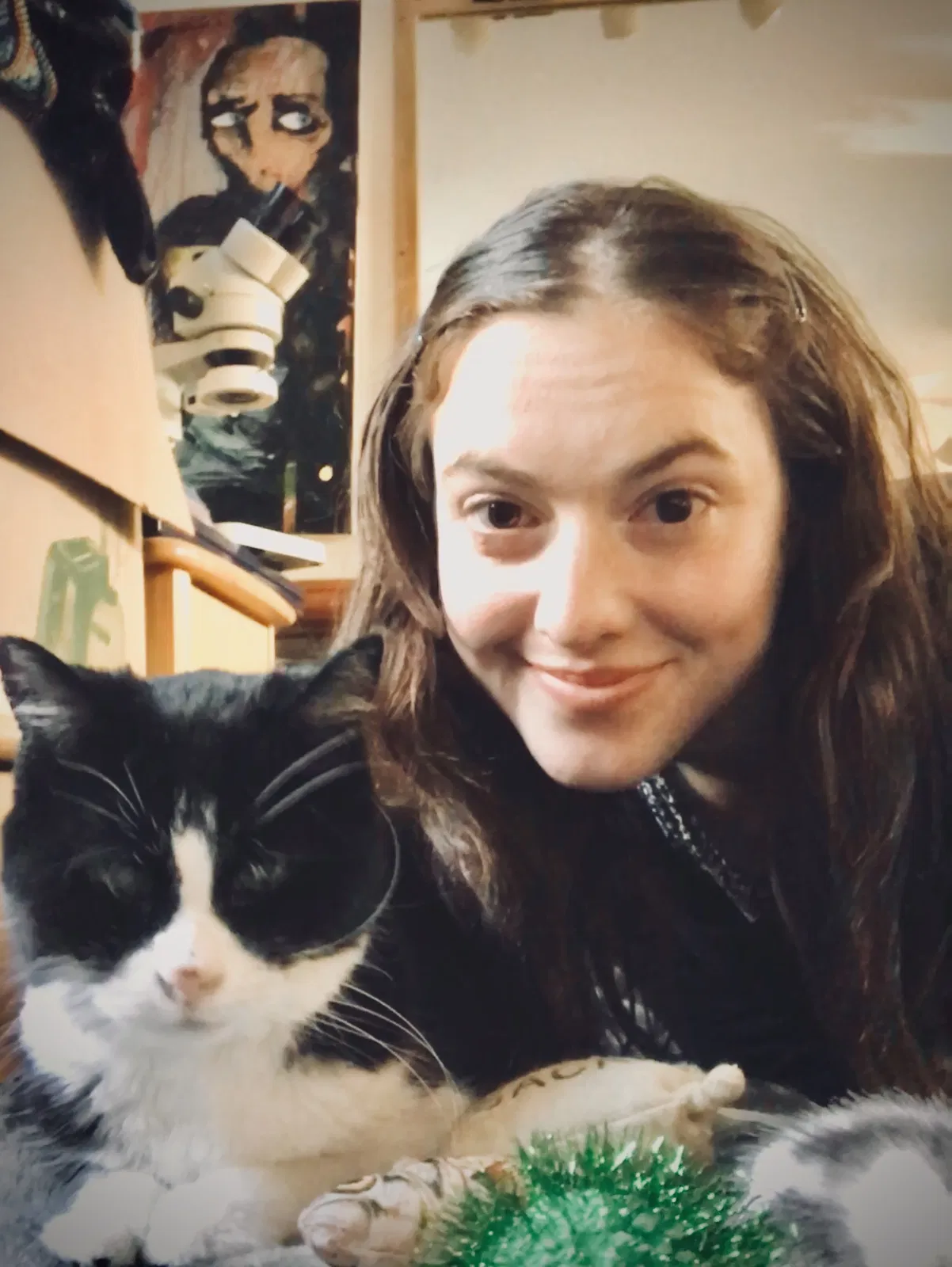 Lost cat in Madison, WI, 53713