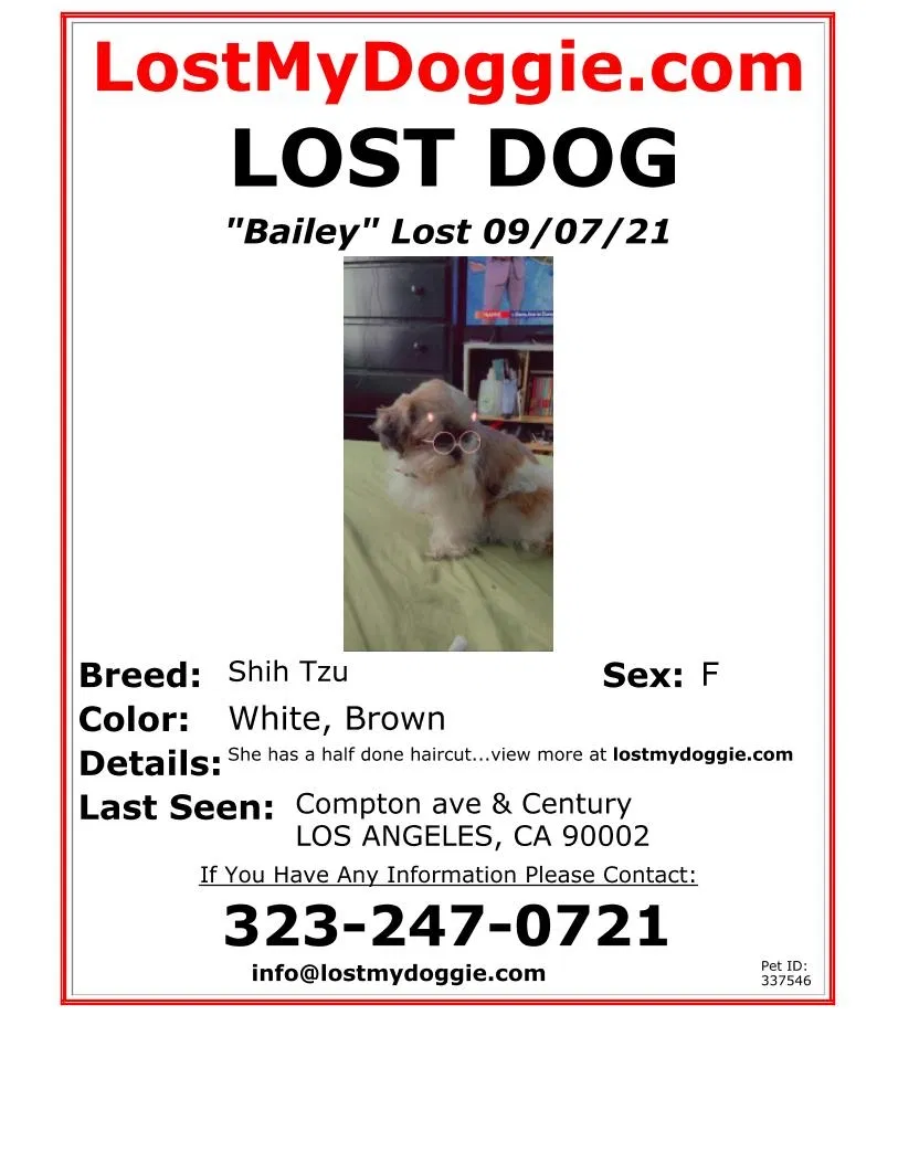 Lost dog in Los Angeles, CA, 90002