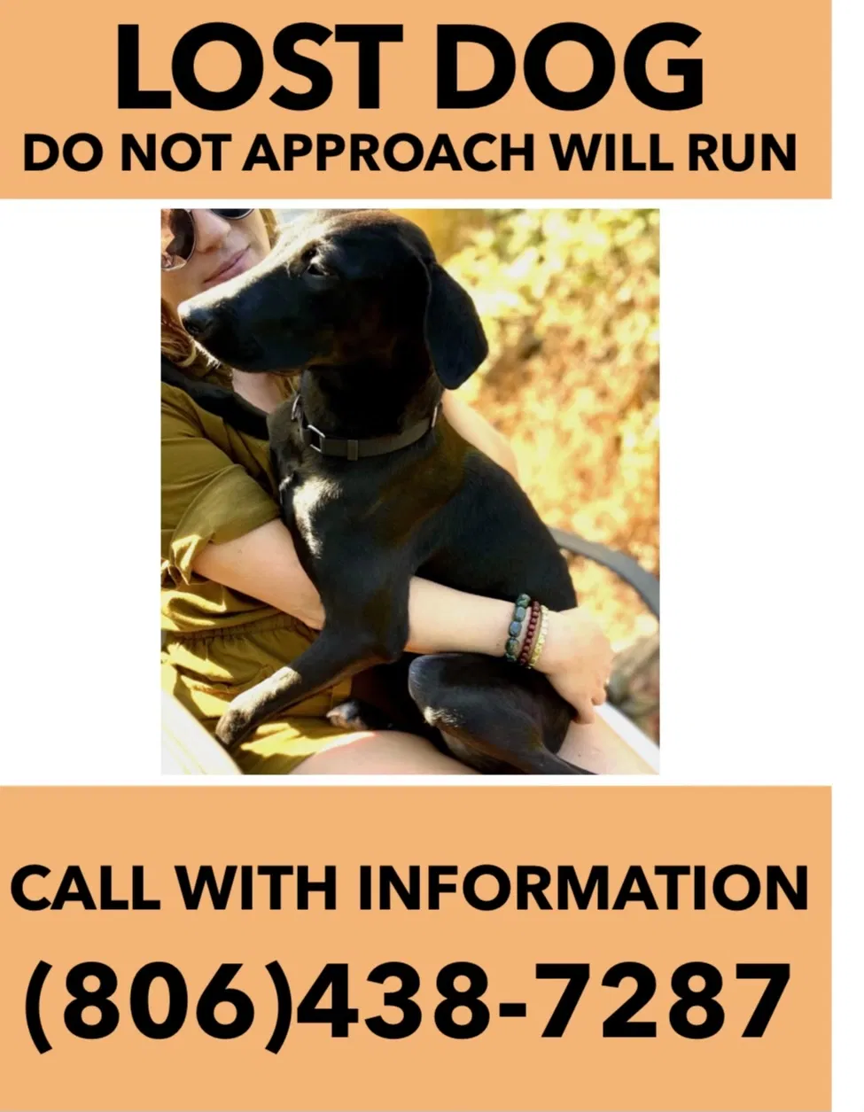 Lost dog in Portland, OR, 97219