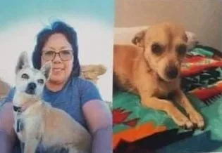 Lost dog in Oceanside, CA, 92057