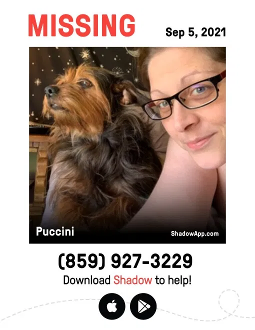 Lost dog in Jeffersonville, IN, 47130