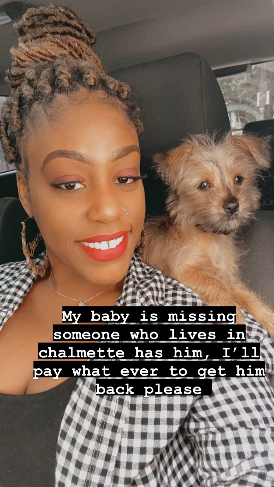 Lost dog in Chalmette, LA, 70043