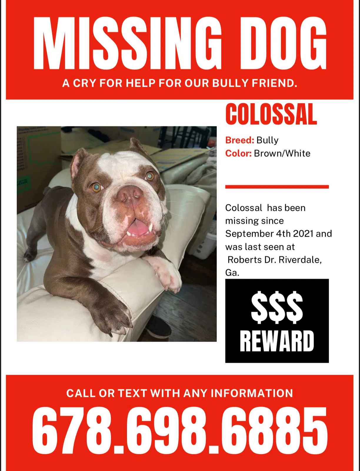 Lost dog in Riverdale, GA, 30274