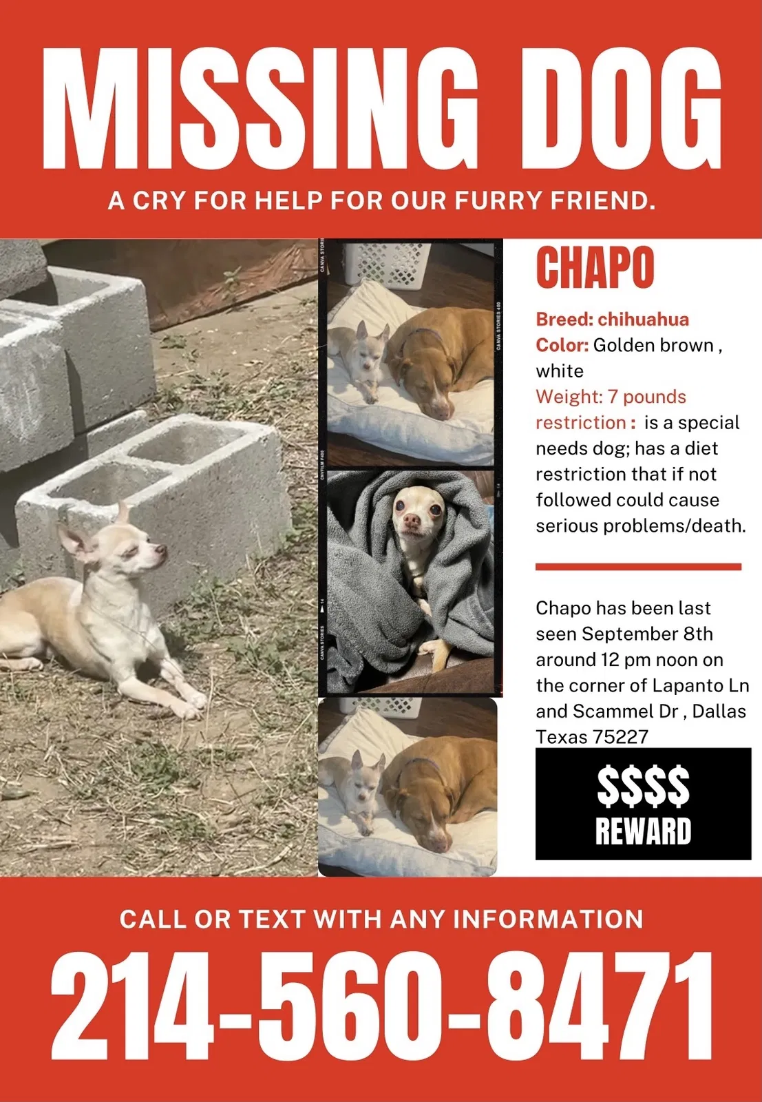 Lost dog in Dallas, TX, 75227
