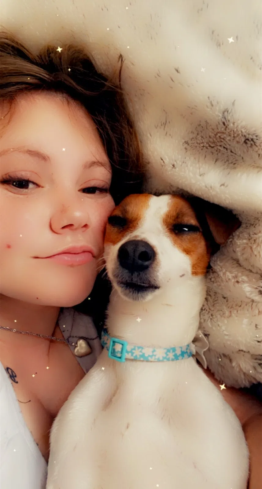 Lost dog in Westminster, CO, 80030