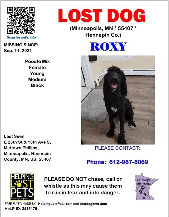 Lost dog in Minneapolis, MN, 55407