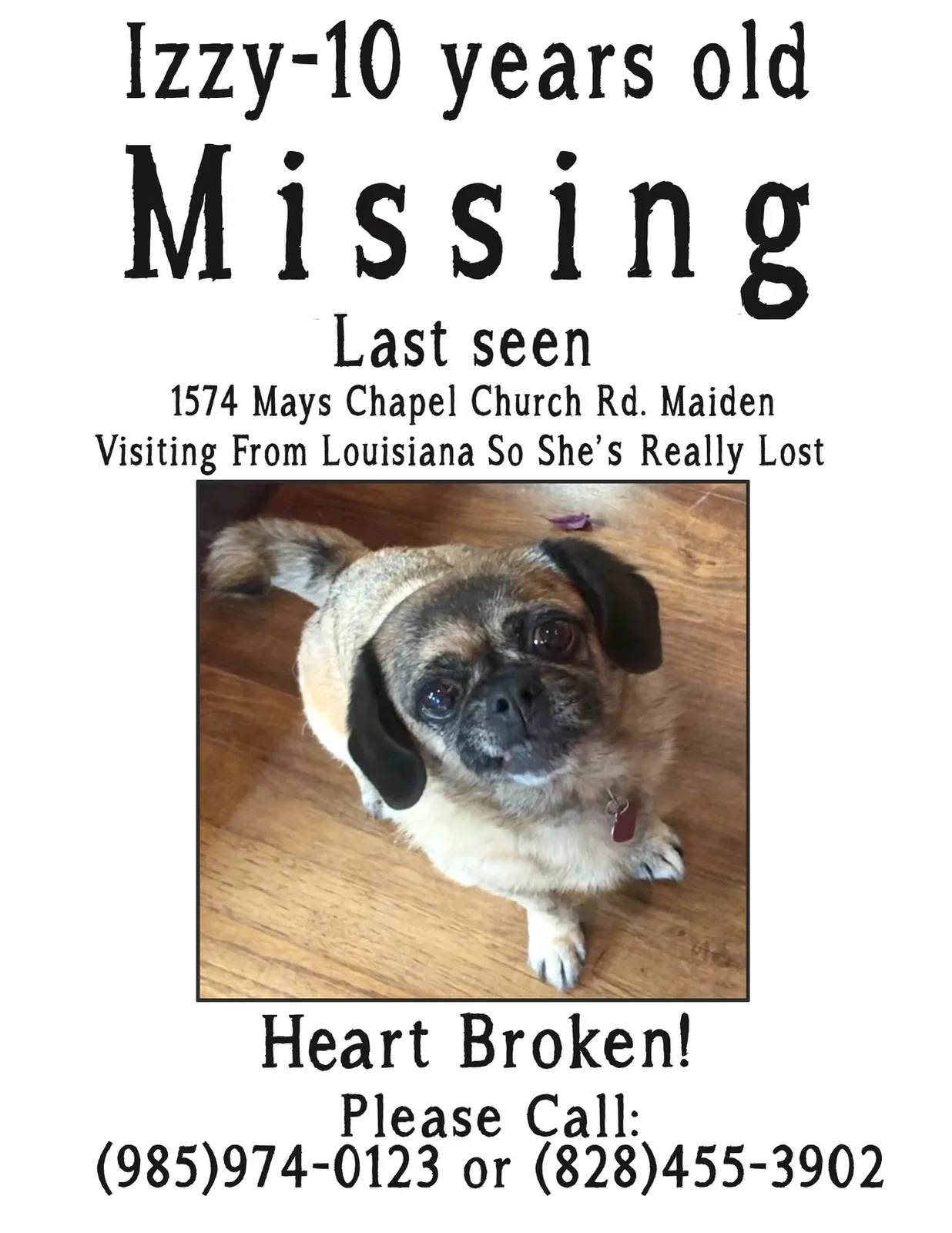 Lost dog in Newton, NC, 28658