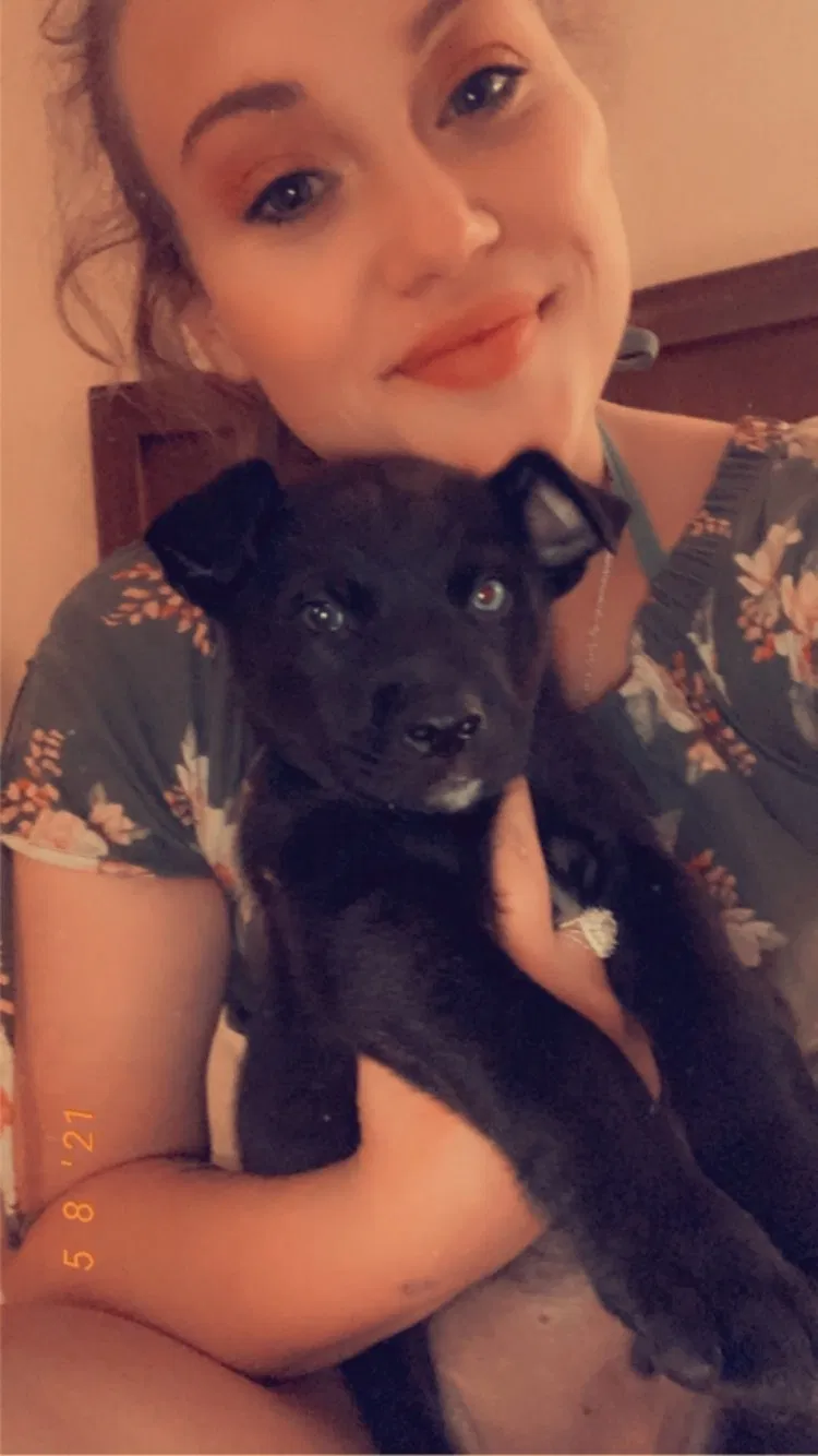 Lost dog in Tulsa, OK, 74104