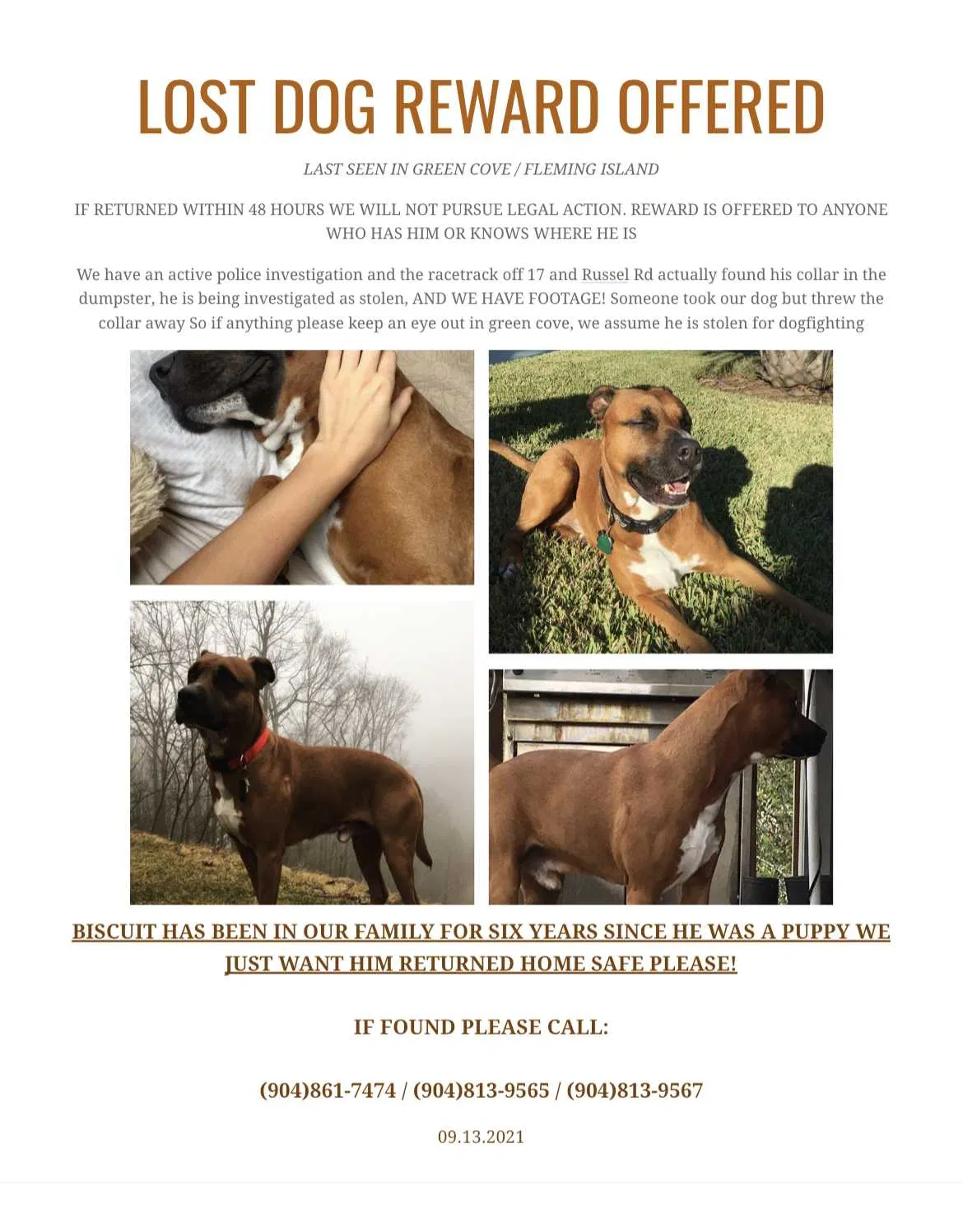 Lost dog in Green Cove Springs, FL, 32043