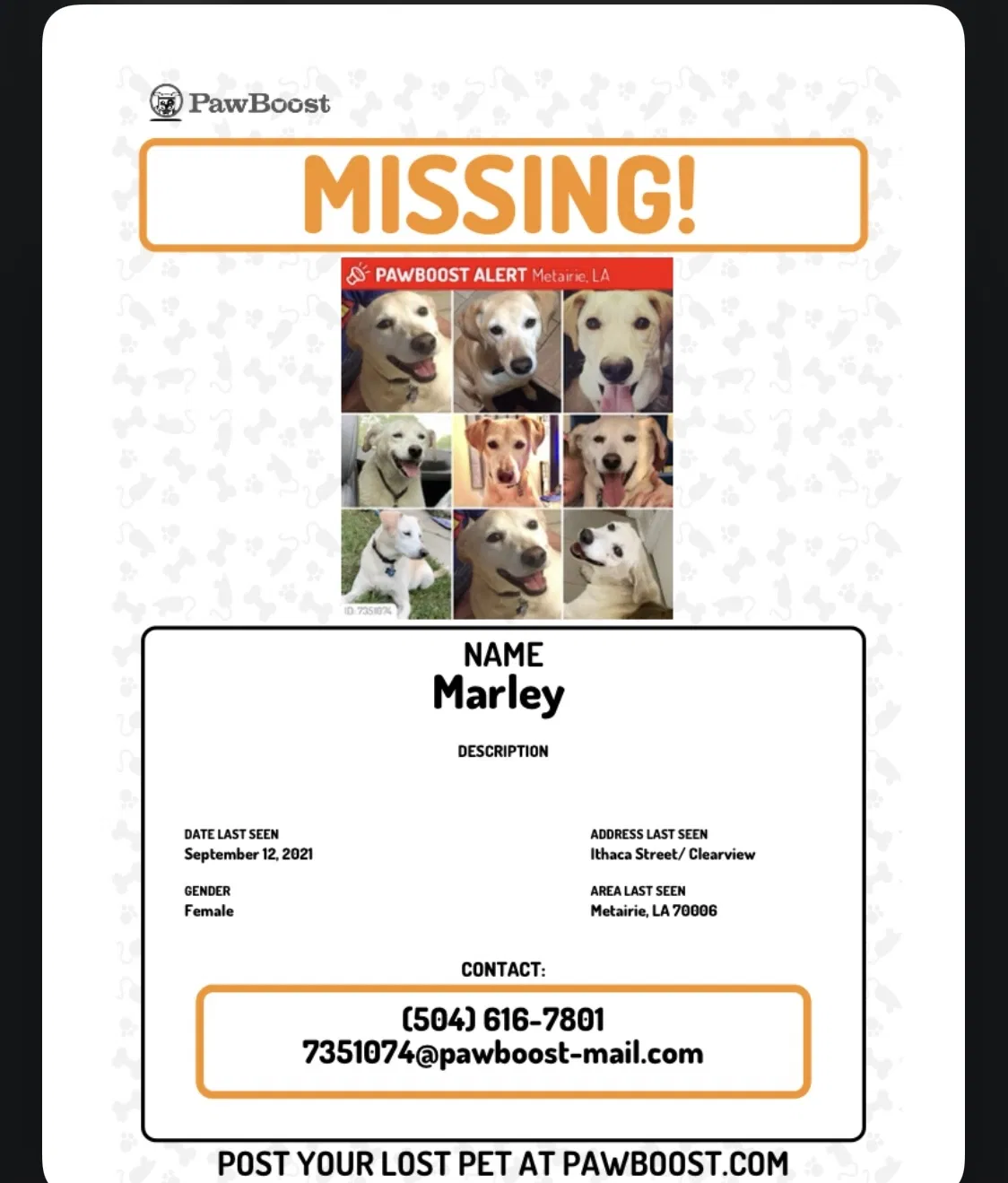 Lost dog in Metairie, LA, 70006