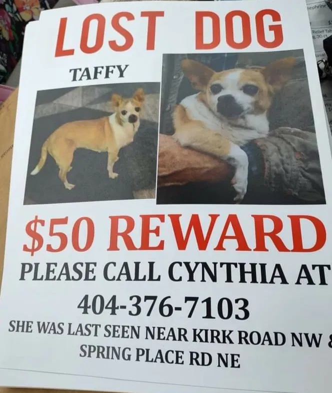 Lost dog in White, GA, 30184