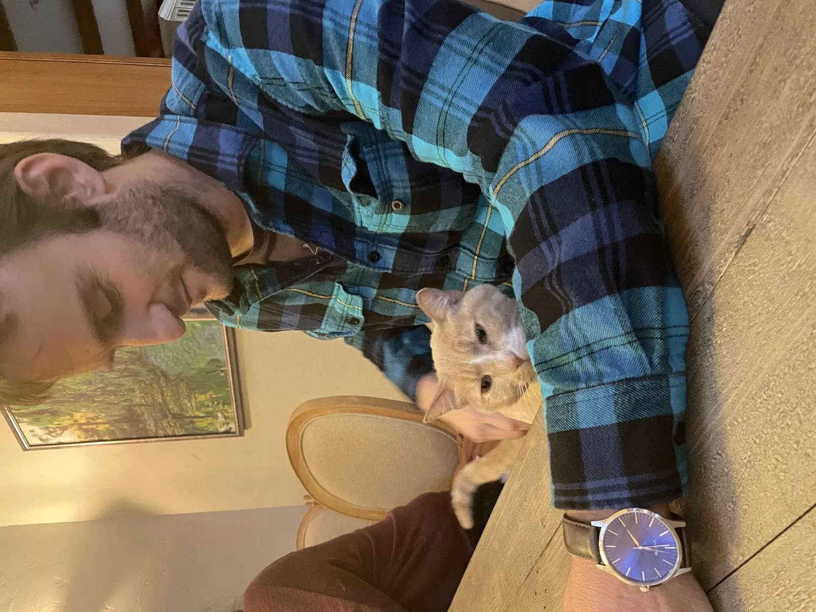 Lost cat in West Linn, OR, 97068