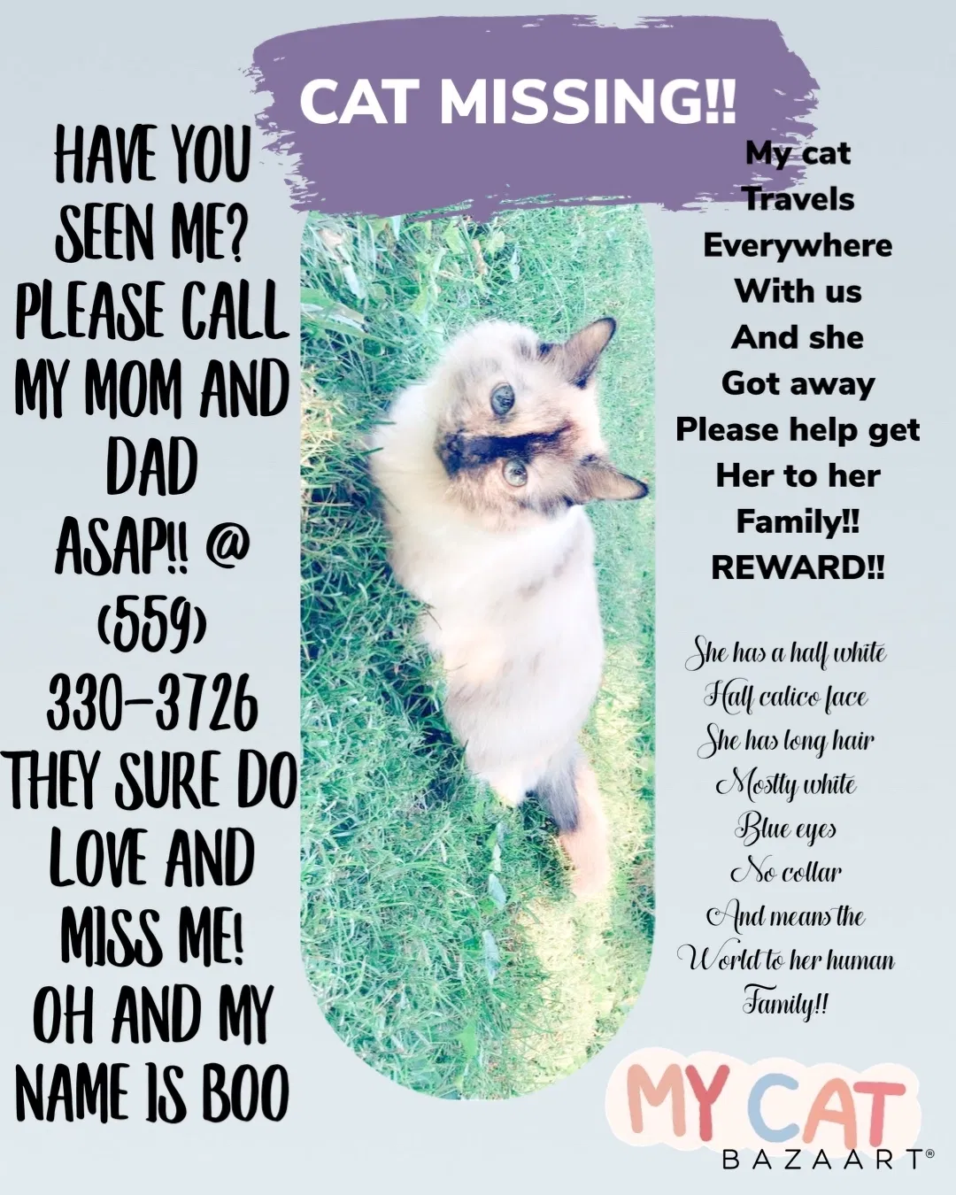 Lost cat in Unknown, OH, 0