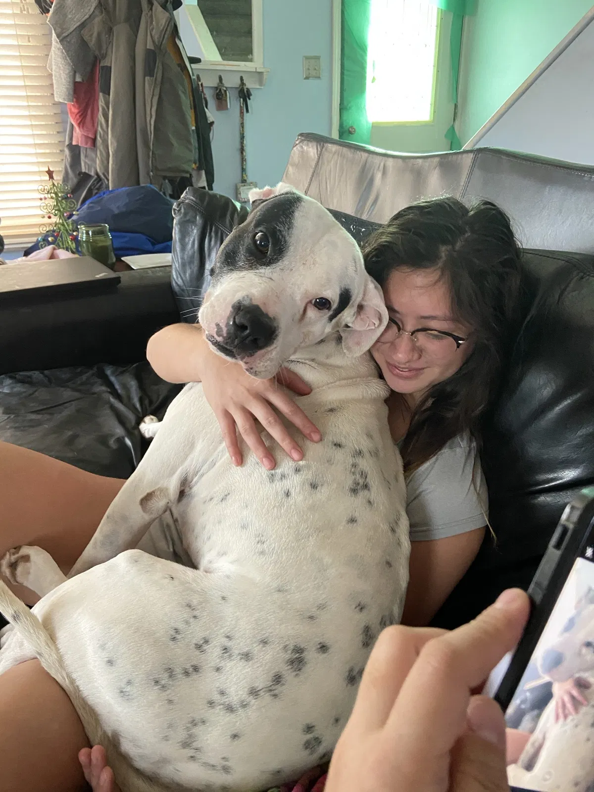 Lost dog in Hickory, NC, 28601