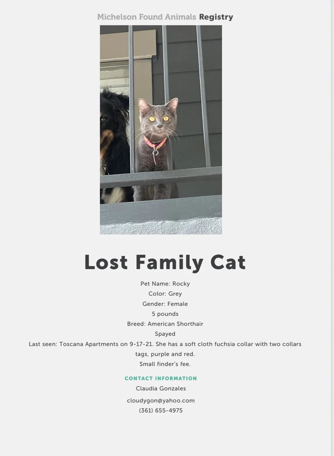 Lost cat in Austin, TX, 78750