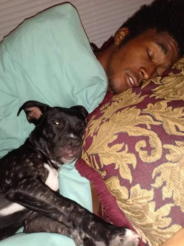 Lost dog in Kingsville, TX, 78363