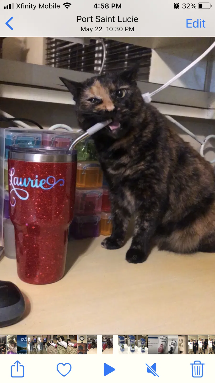 Lost cat in Port Saint Lucie, FL, 34953