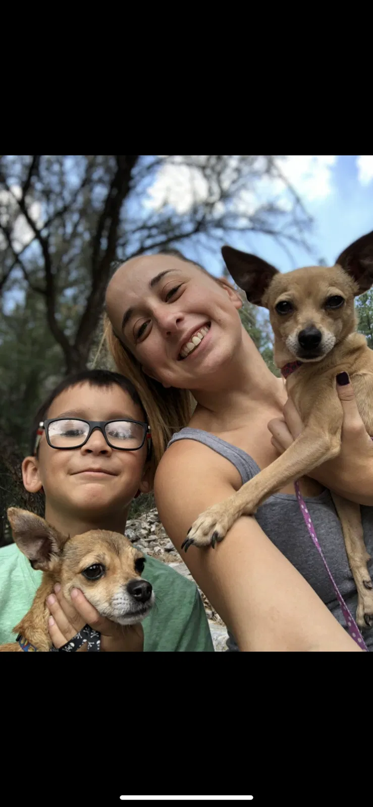Lost dog in Las Vegas, NV, 89107