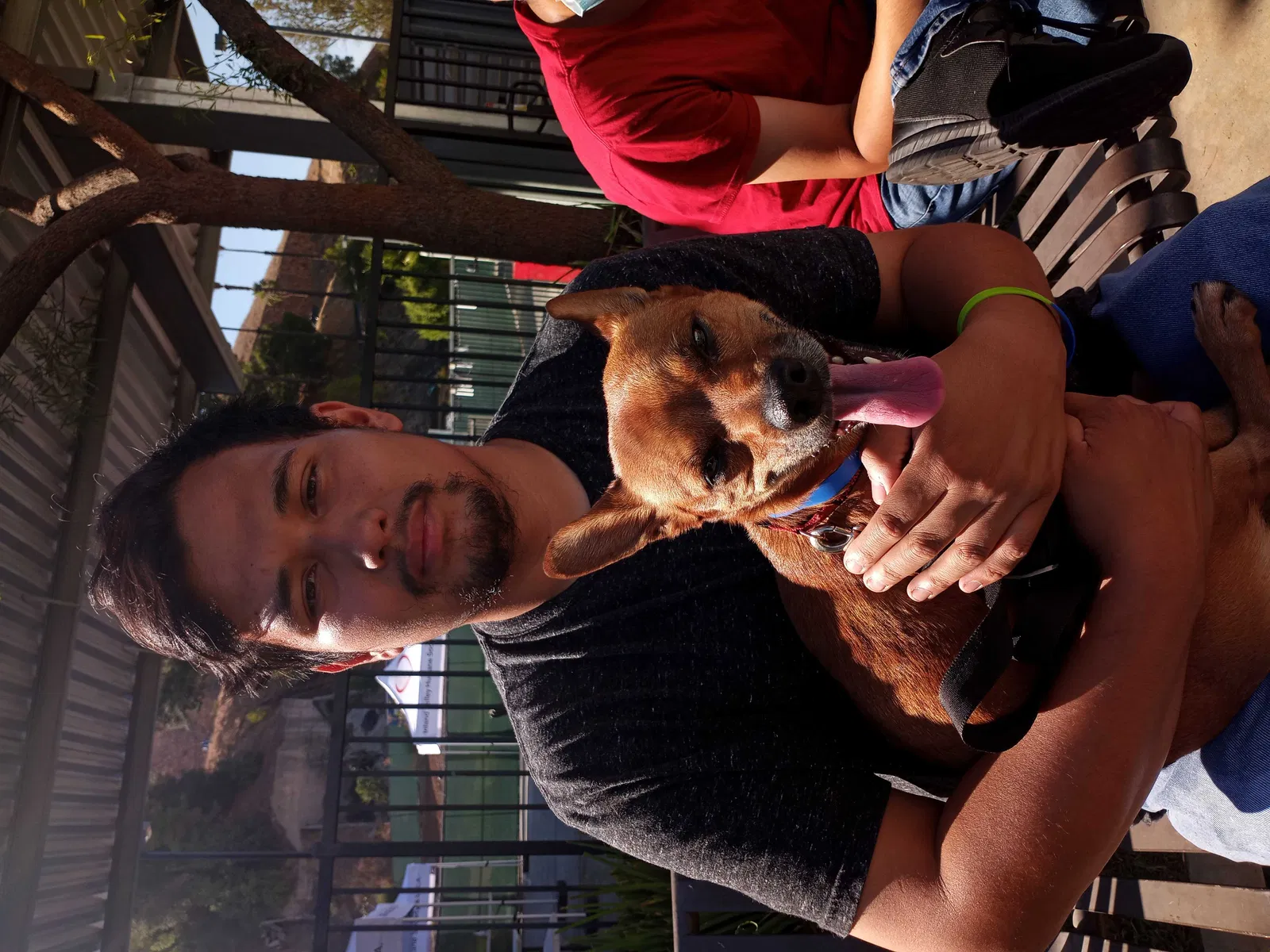 Found dog in Pomona, CA, 91766
