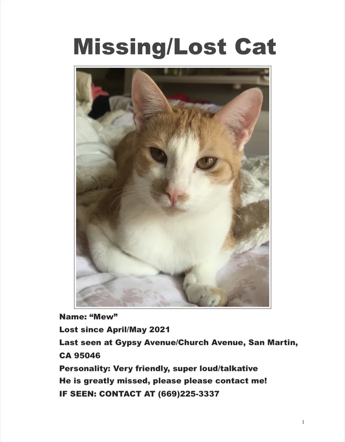 Lost cat in San Martin, CA, 95046