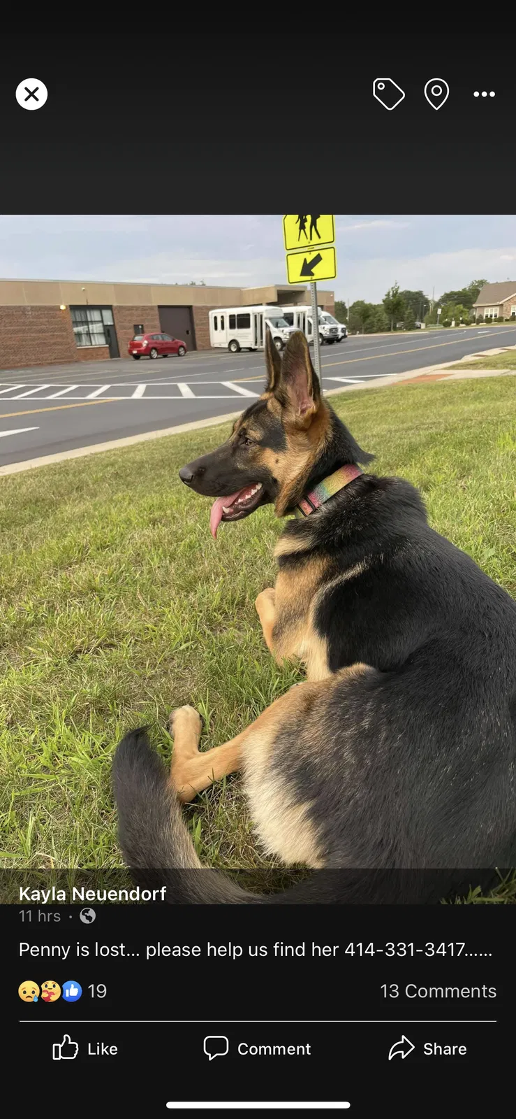 Lost dog in Milwaukee, WI, 53214