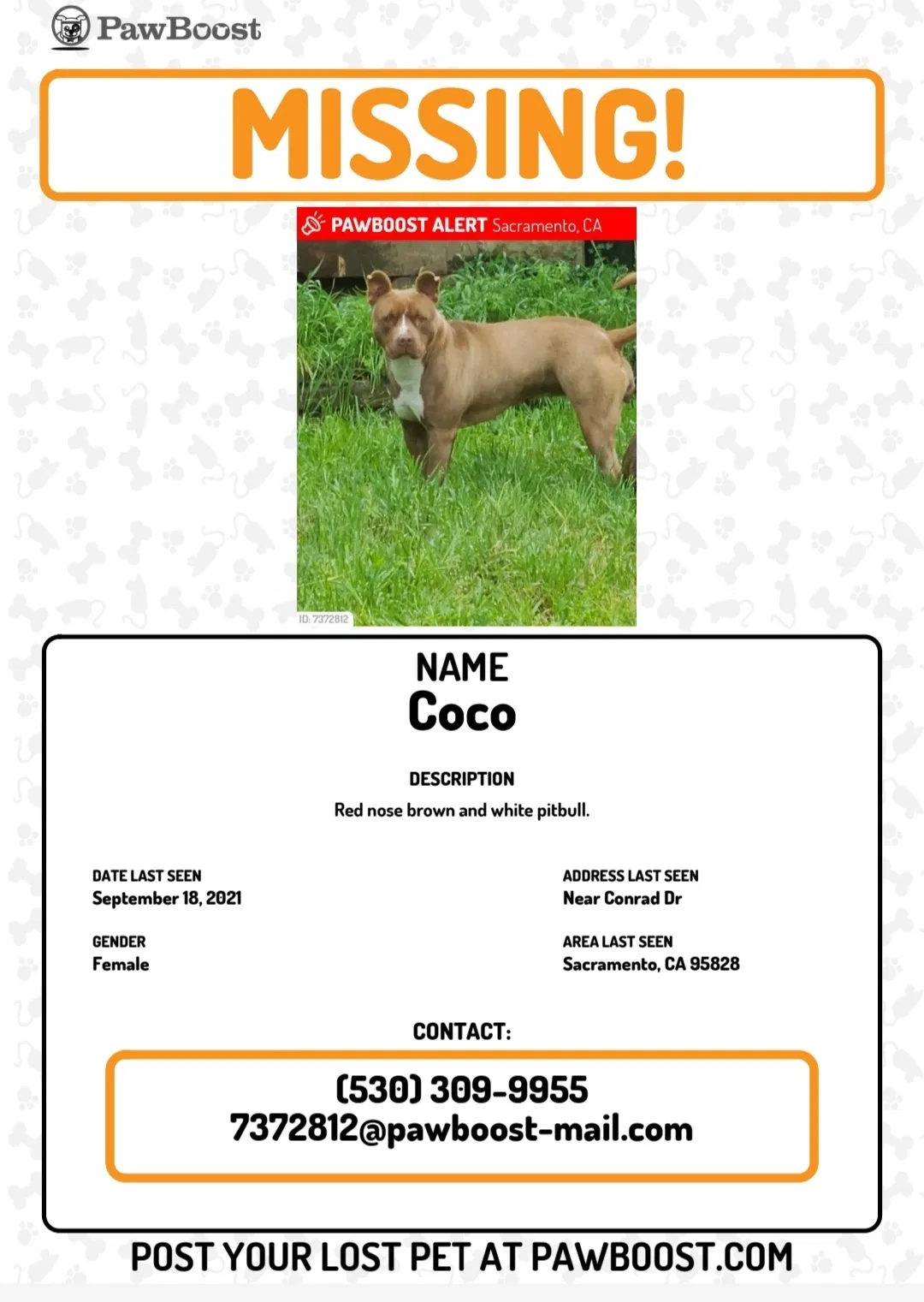 Lost dog in Sacramento, CA, 95828