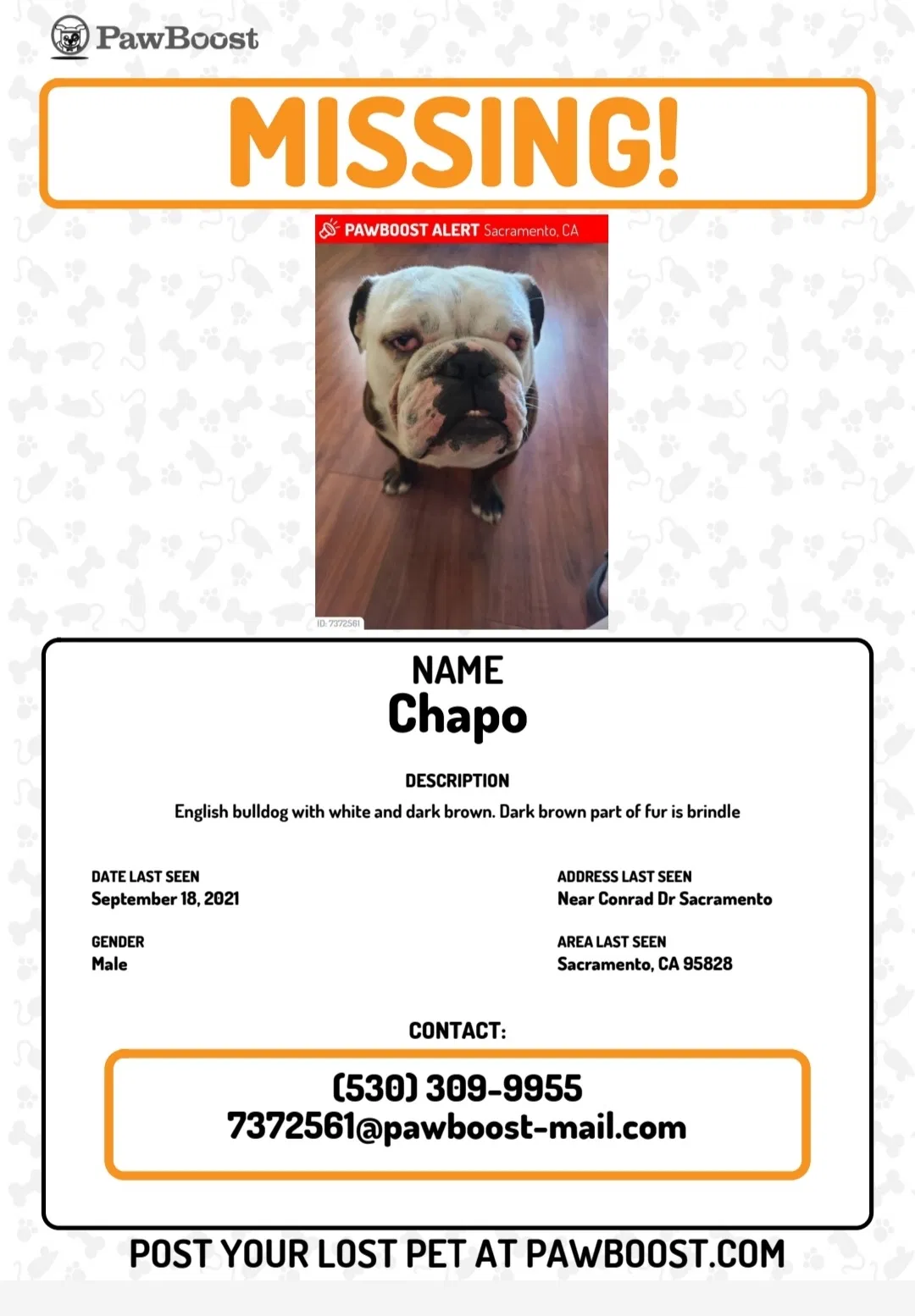 Lost dog in Sacramento, CA, 95828