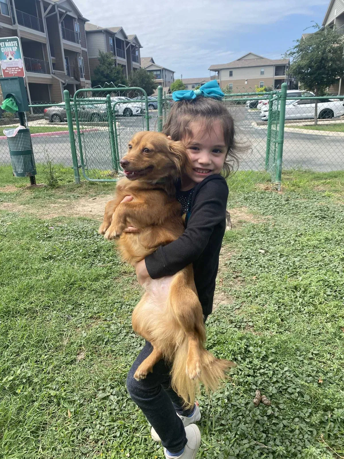 Lost dog in New Baden, IL, 62265