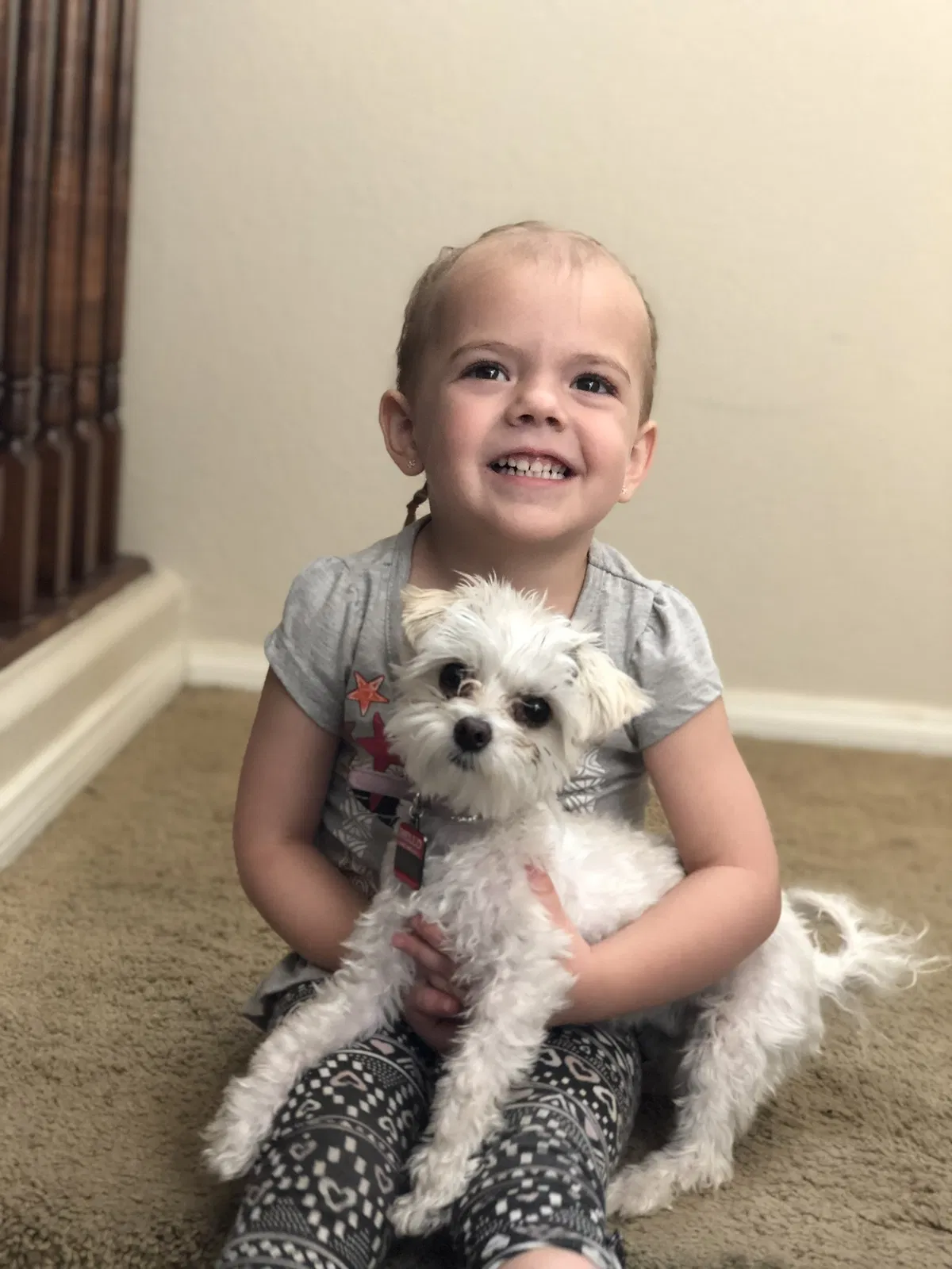 Lost dog in Las Vegas, NV, 89131
