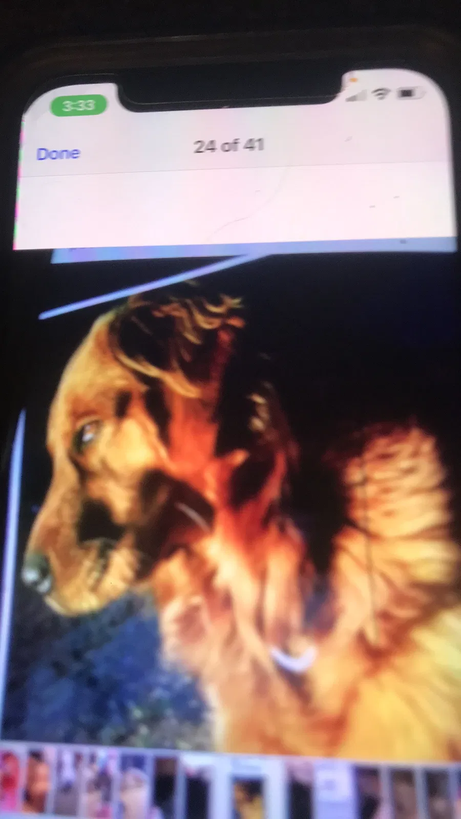 Lost dog in Gray Court, SC, 29645