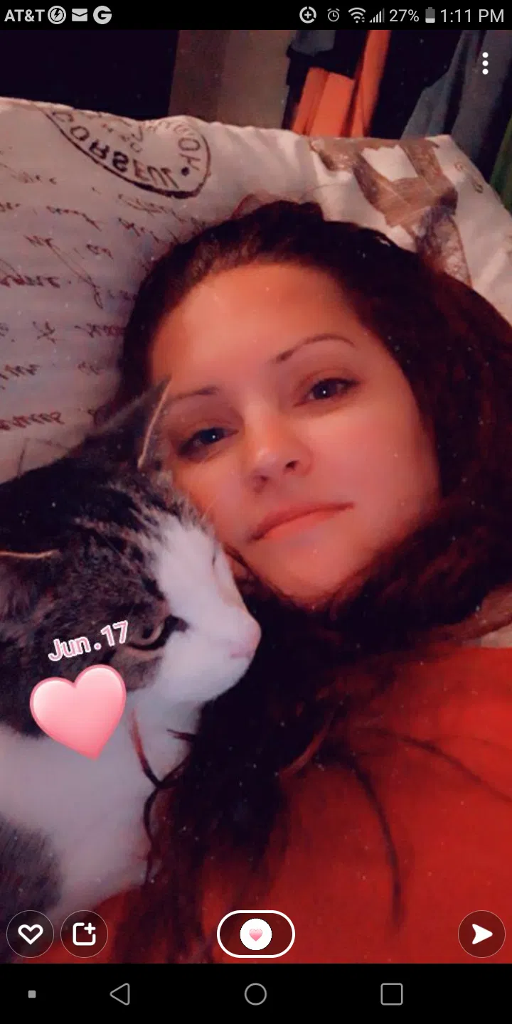 Lost cat in Inver Grove Heights, MN, 55076