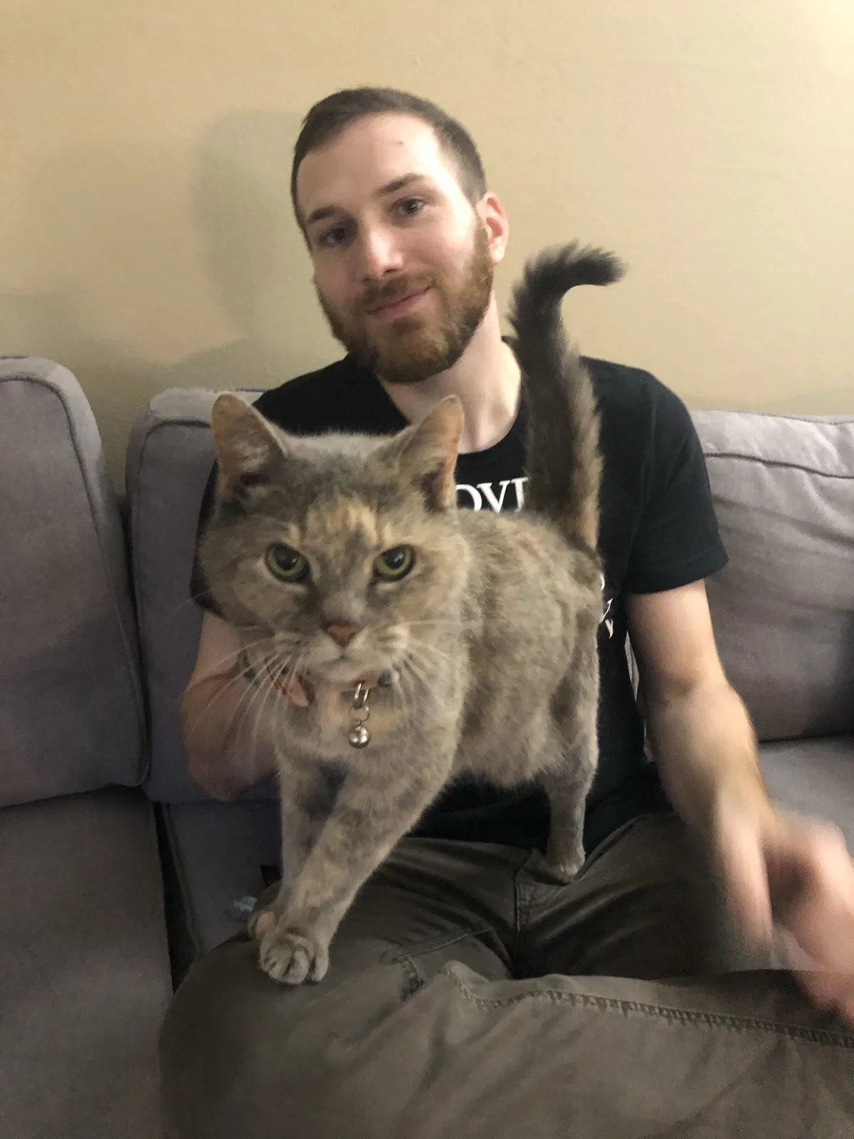 Lost cat in Louisville, KY, 40222