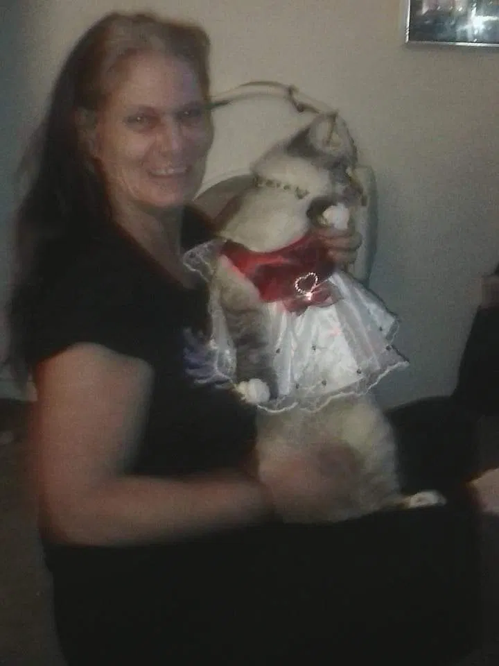 Lost cat in Sacramento, CA, 95815