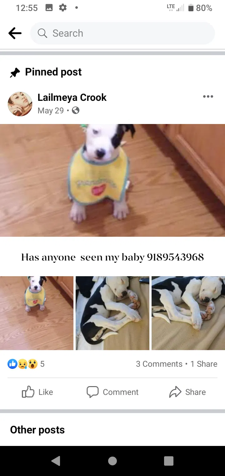 Lost dog in Glenpool, OK, 74033