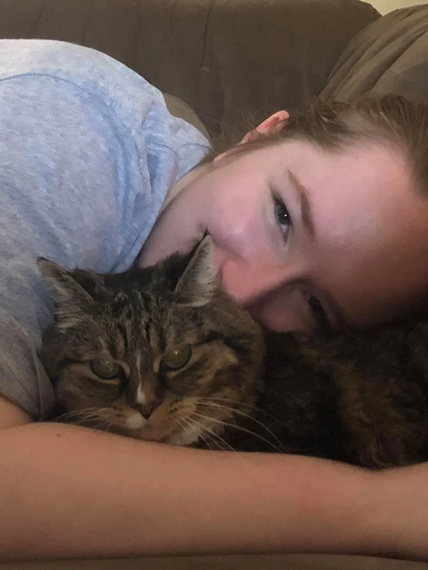 Lost cat in Spokane, WA, 99223