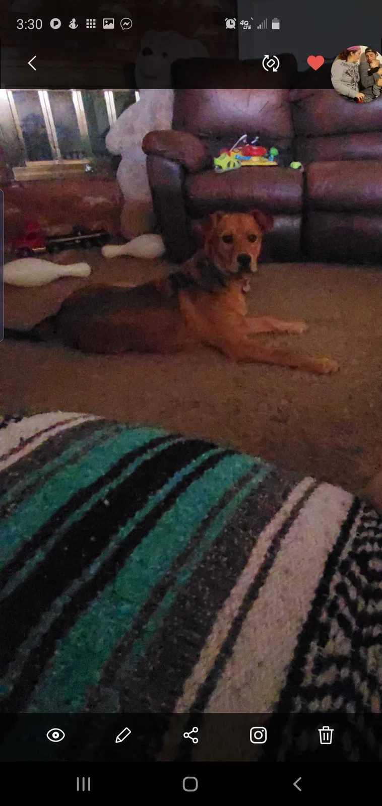 Lost dog in Guthrie, OK, 73044