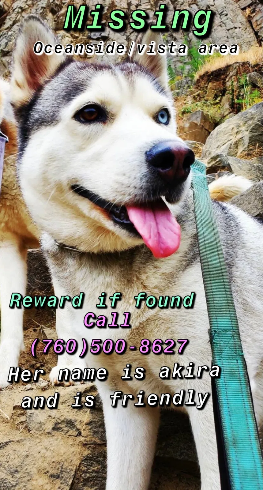 Lost dog in Oceanside, CA, 92056