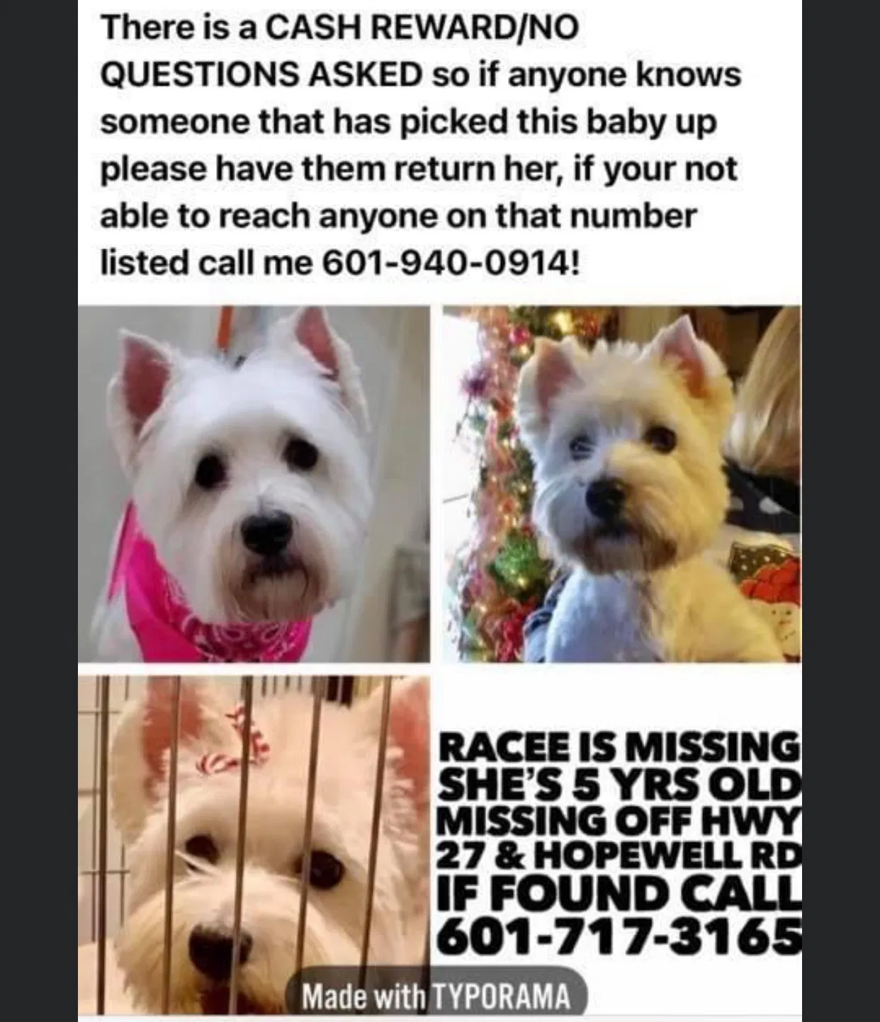 Lost dog in Crystal Springs, MS, 39059
