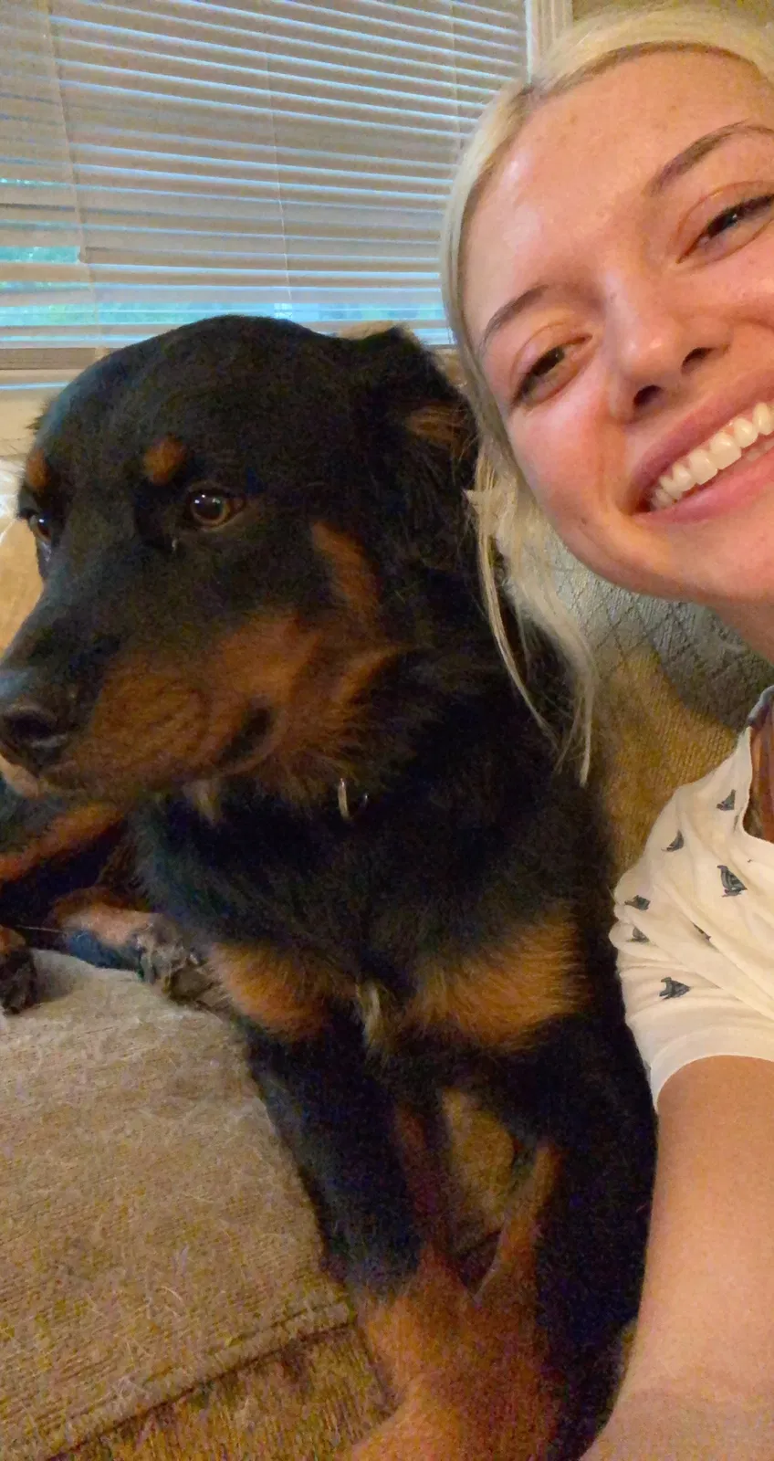 Lost dog in Kansas City, MO, 64118