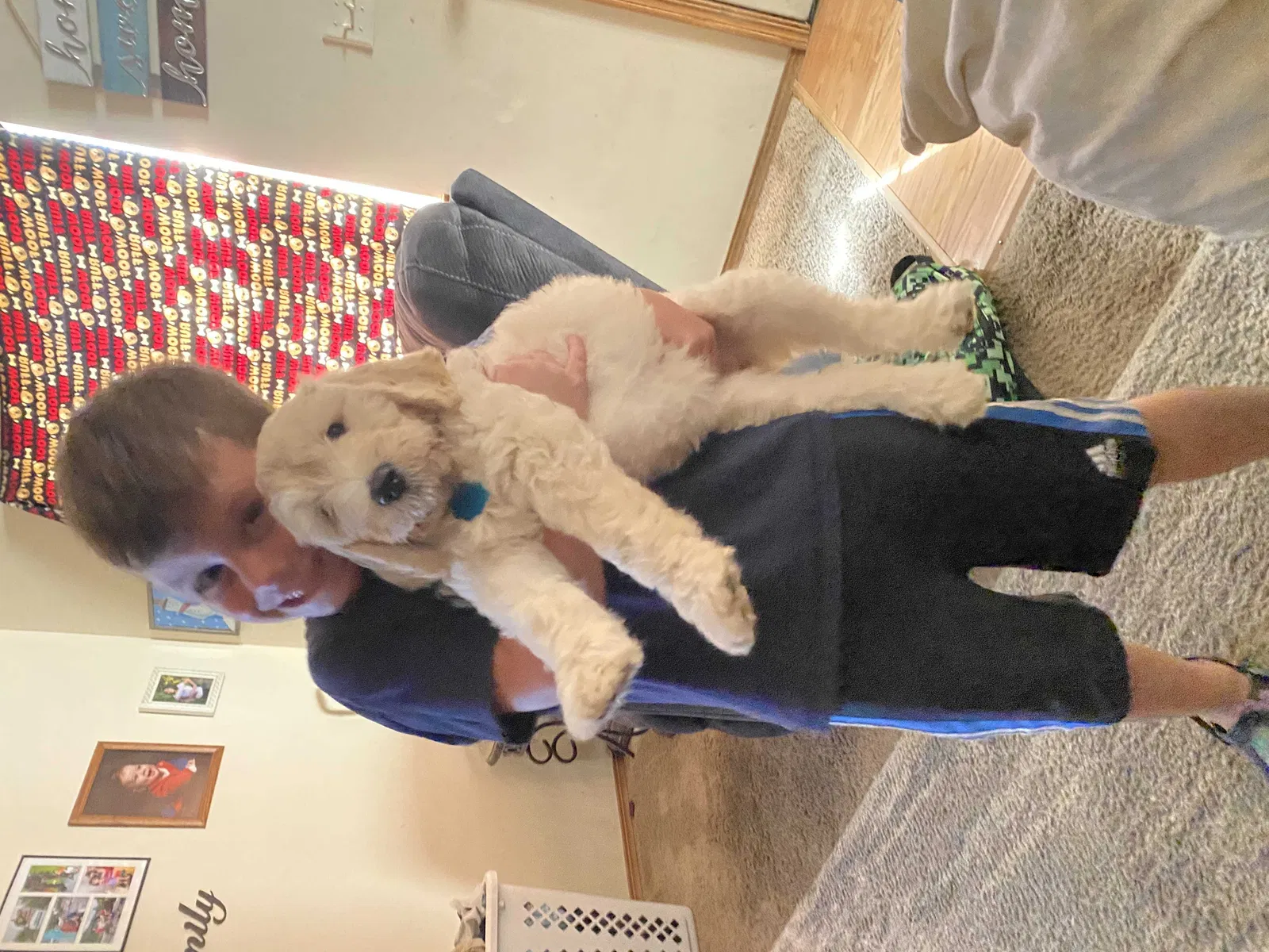 Lost dog in Rose Hill, KS, 67133
