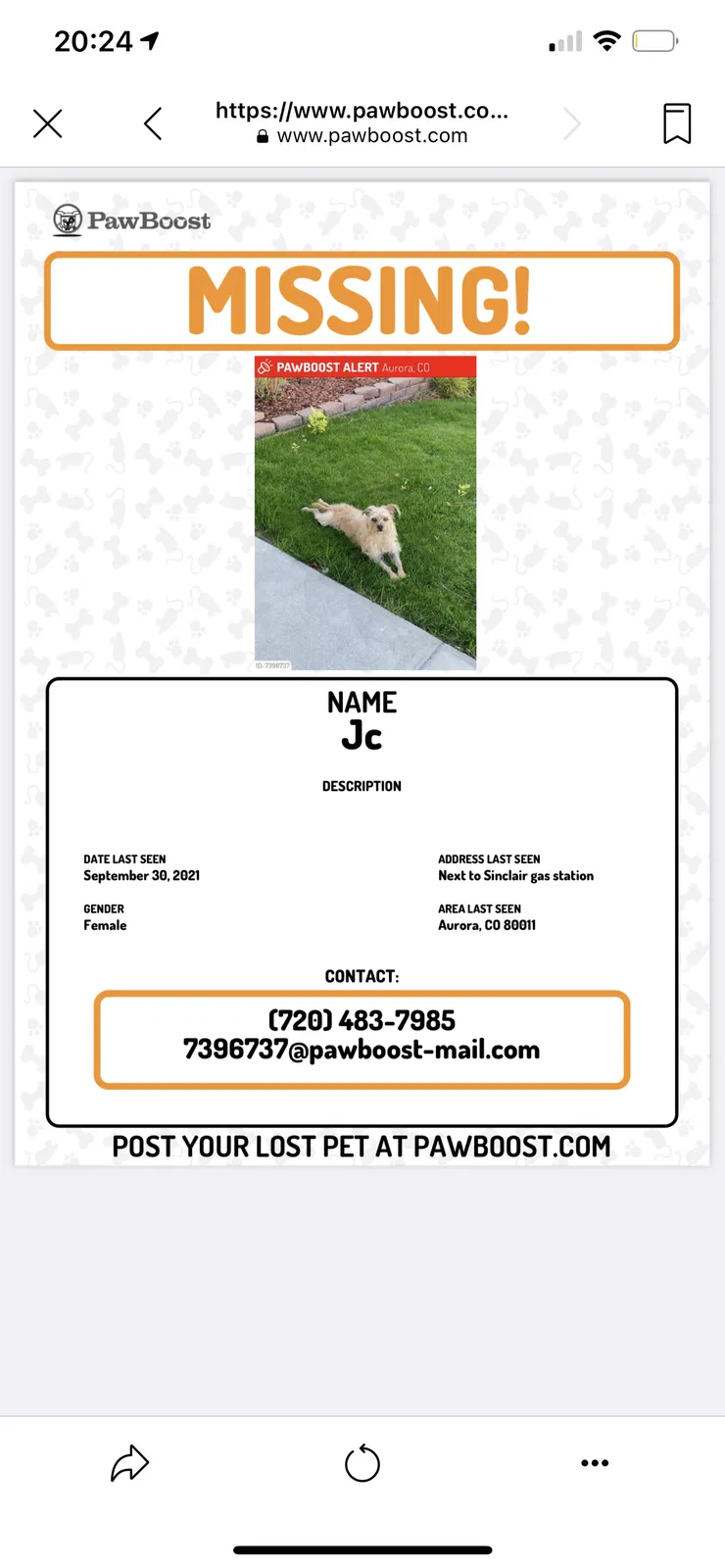 Lost dog in Aurora, CO, 80011